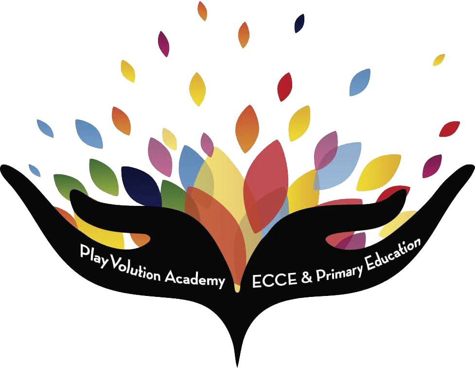 PlayVolution Academy